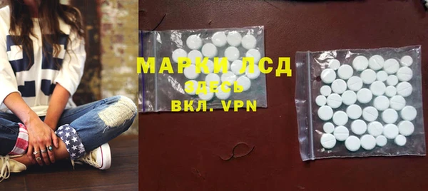 прущие грибы Алзамай