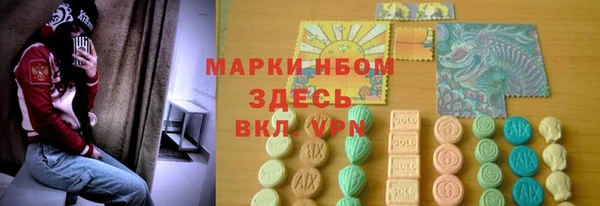 прущие грибы Алзамай
