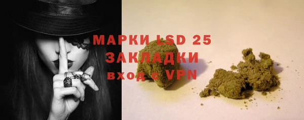 прущие грибы Алзамай