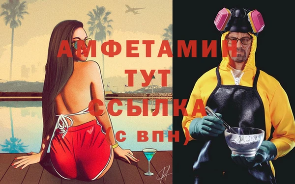 прущие грибы Алзамай