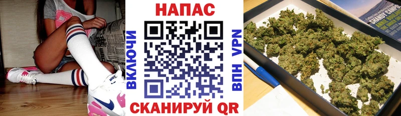 цена наркотик  Североуральск  Бошки Шишки конопля 